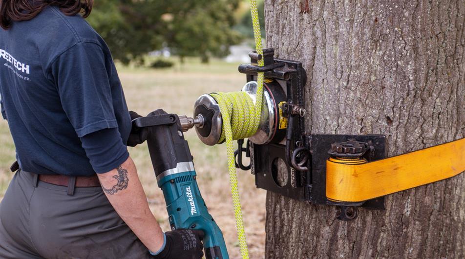 Arboricultural Association